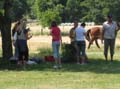 Bild 027