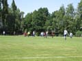 Bild 079
