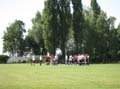 Bild 087