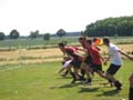 Bild 113