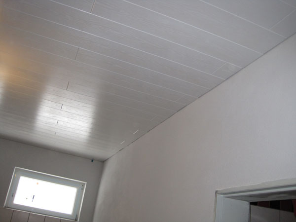 Bild 058