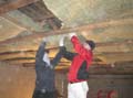 Bild 010