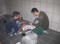 Bild 105