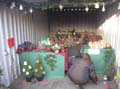 Bild 003