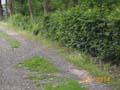 Sportplatz 2014 Juni 010