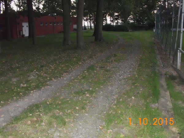 DSCI0832