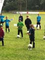 BGLE0590_Tag1